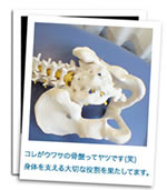 広島市南区のカイロ整体マッサージ