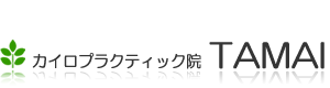 広島市南区的場町のカイロプラクティック整体院TAMAI・整体マッサージ